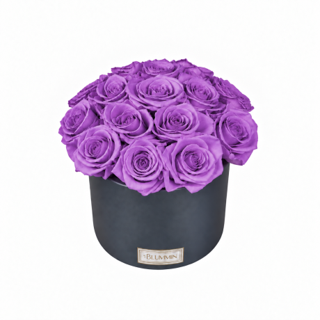 BOUQUET WITH 15 ROSES - WHITE CERAMIC POT WITH CHAMPAGNE ROSES