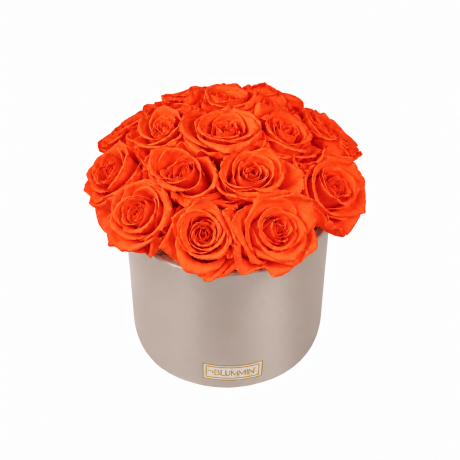 BOUQUET WITH 15 ROSES - WHITE CERAMIC POT WITH CHAMPAGNE ROSES
