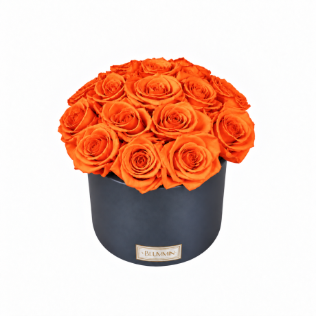 BOUQUET WITH 15 ROSES - WHITE CERAMIC POT WITH CHAMPAGNE ROSES