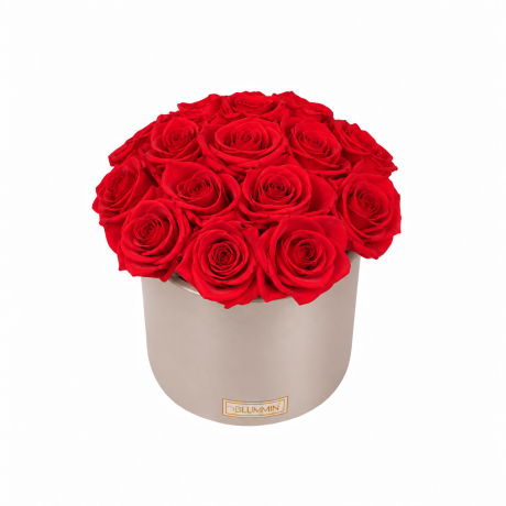 BOUQUET WITH 15 ROSES - WHITE CERAMIC POT WITH CHAMPAGNE ROSES