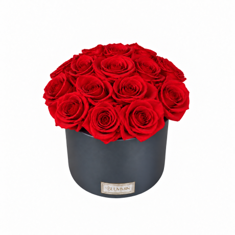BOUQUET WITH 15 ROSES - WHITE CERAMIC POT WITH CHAMPAGNE ROSES