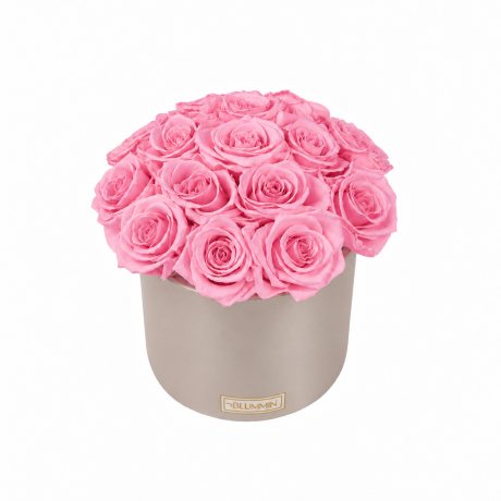 BOUQUET WITH 15 ROSES - WHITE CERAMIC POT WITH CHAMPAGNE ROSES