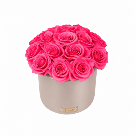 BOUQUET WITH 15 ROSES - WHITE CERAMIC POT WITH CHAMPAGNE ROSES
