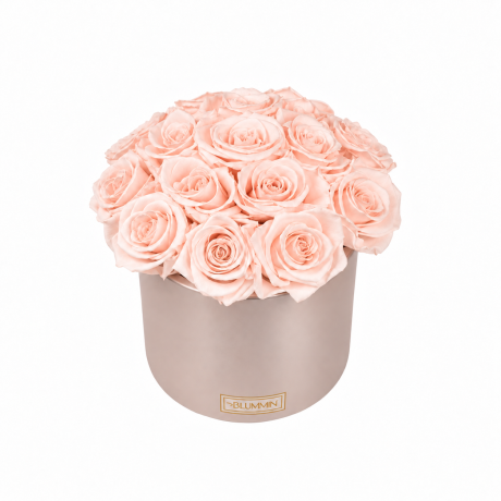 BOUQUET WITH 15 ROSES - WHITE CERAMIC POT WITH CHAMPAGNE ROSES