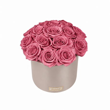 BOUQUET WITH 15 ROSES - WHITE CERAMIC POT WITH CHAMPAGNE ROSES