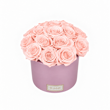 BOUQUET WITH 15 ROSES - WHITE CERAMIC POT WITH CHAMPAGNE ROSES
