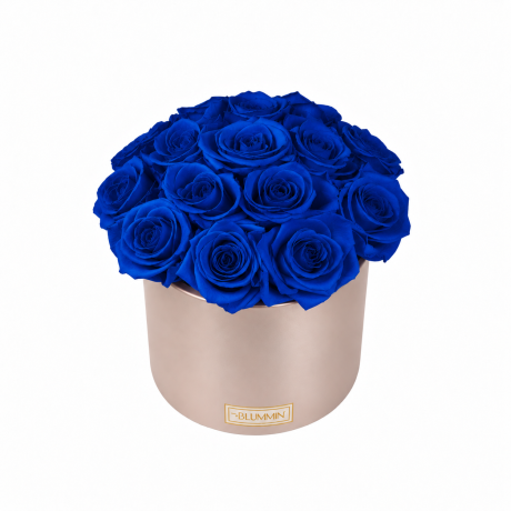 BOUQUET WITH 15 ROSES - WHITE CERAMIC POT WITH CHAMPAGNE ROSES