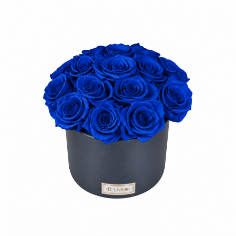 BOUQUET WITH 15 ROSES - WHITE CERAMIC POT WITH CHAMPAGNE ROSES