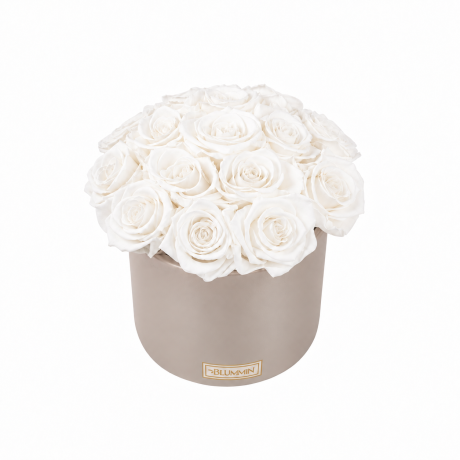 BOUQUET WITH 15 ROSES - WHITE CERAMIC POT WITH CHAMPAGNE ROSES