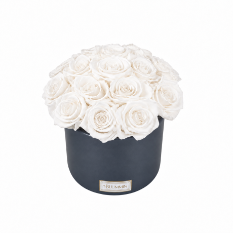BOUQUET WITH 15 ROSES - WHITE CERAMIC POT WITH CHAMPAGNE ROSES