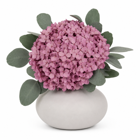 STABILISEERITUD HORTENSIA & EUKALÜPTI KIMP - LILLA LILAC