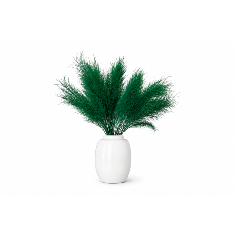Stabiliseeritud Tree Fern – tumeroheline (40–50 cm)