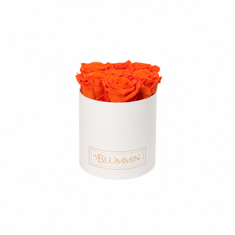 SMALL VALGE KARP ORANGE ROOSIDEGA