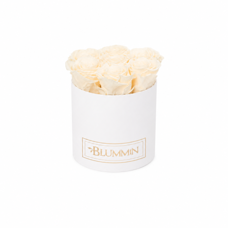 SMALL BLUMMIN - VALGE KARP CHAMPAGNE ROOSIDEGA