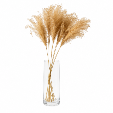 -35% KUIVATATUD MISCANTHUS NATURAALNE