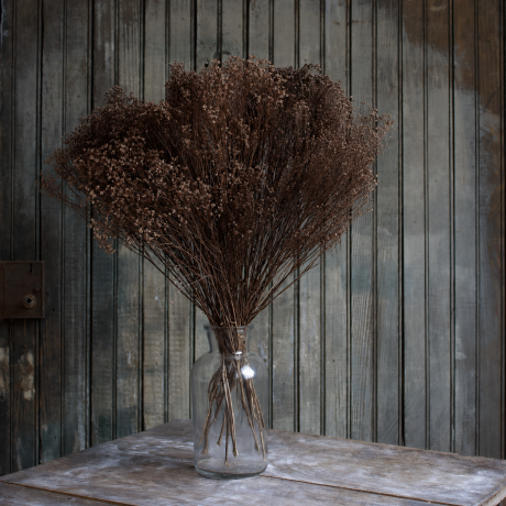 -35% KUIVATATUD BROOM BLOOM PRUUN