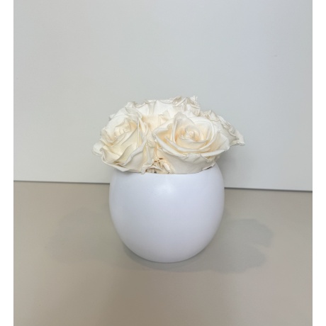 -30% VALGE KERAAMIKA CHAMPAGNE ROOSIDEGA - 6 ROOSI