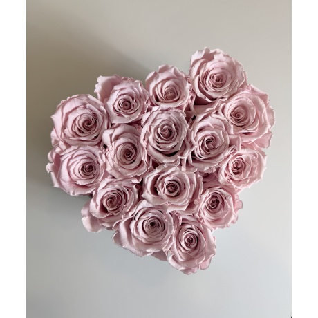 -30% SÜDAMEKUJULINE VALGE SAMETIST KARP HELEROOSADE ROOSIDEGA - 15 ROOSI