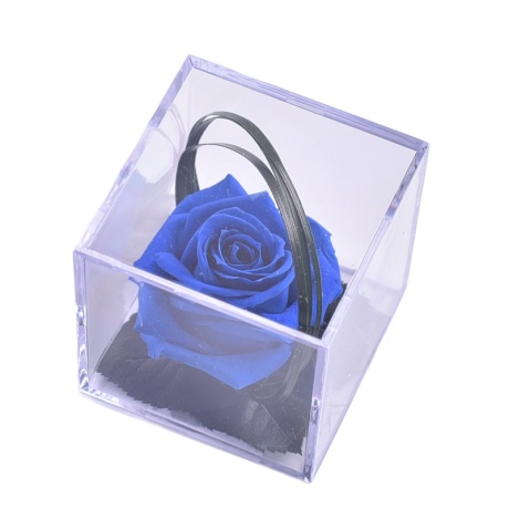 KAUASÄILIV ROOS AKRÜÜLKARBIS - DARK BLUE