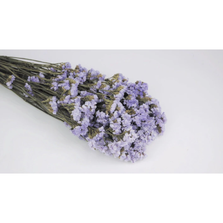 -70% STABILISEERITUD STATICE - HELELILLA