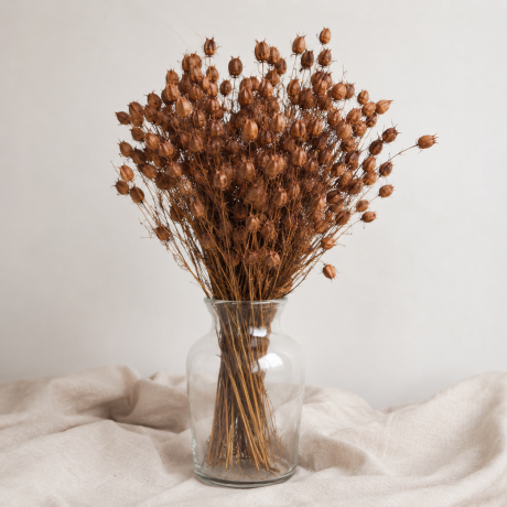 -50% KUIVATATUD NIGELLA