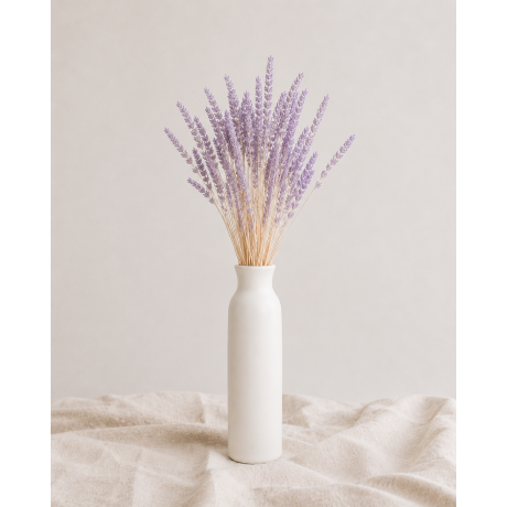-35% KUIVATATUD TRITICUM LILAC