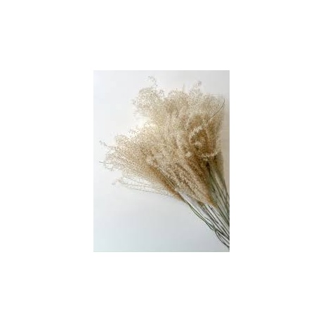 -40% KUIVATATUD MISCANTHUS NATURAALNE