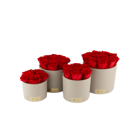 BEIGE CERAMIC POT WITH VIBRANT RED ROSES
