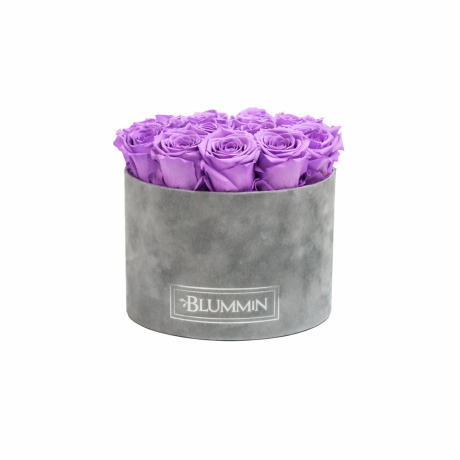 LARGE HELEHALL SAMETKARP HELELILLADE KAUASÄILIVATE ROOSIDEGA