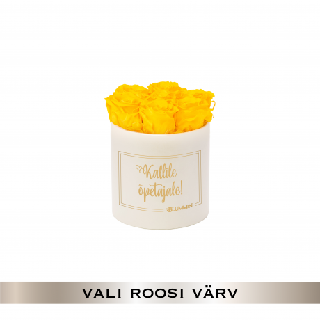 KALLILE ÕPETAJALE - SMALL  CREAMY WHITE BOX WITH 7 ROSES