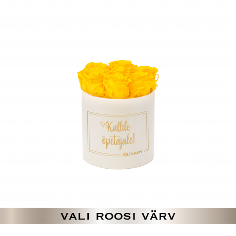 KALLILE ÕPETAJALE - SMALL KREEMIKASVALGE KARP (VALI ROOSI VÄRV)