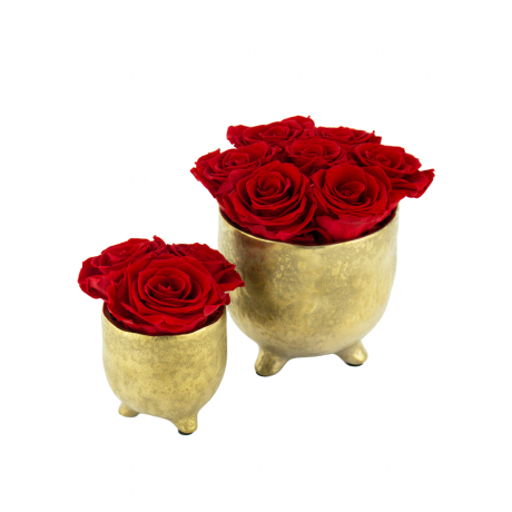 GOLDEN CERAMIC POT WITH VIBRANT RED ROSES