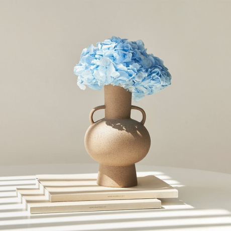 STABILISEERITUD HORTENSIA - HELESININE