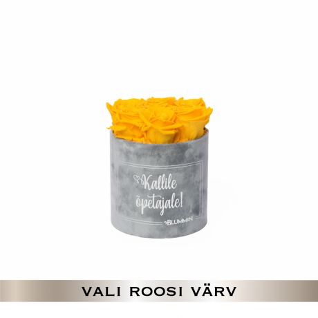 KALLILE ÕPETAJALE - SMALL LIGHT GREY VELVET BOX WITH 7 ROSES