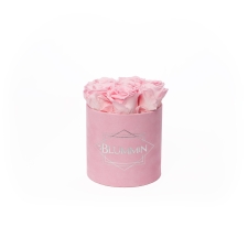 SMALL BLUMMiN - PINK VELVET BOX WITH BRIDAL PINK ROSES