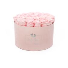 BABY GIRL - LIGHT PINK VELVET BOX WITH 25 BRIDAL PINK ROSES 