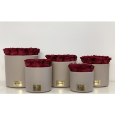BEIGE CERAMIC POT WITH CHERRY ROSES