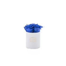 XS BLUMMiN - VALGE karp OCEAN BLUE roosidega