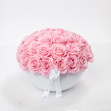 WHITE CERAMIC POT WITH 29-33 BRIDAL PINK ROSES