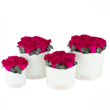 WHITE CERAMIC POT WITH HOT PINK ROSES AND EUCALYPTUS
