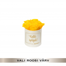 -20% KALLILE ÕPETAJALE - MIDI KREEMIKASVALGE KARP (VALI ROOSI VÄRV)