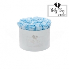 BABY BOY LARGE HELESININE SAMETKARP BABY BLUE ROOSIDEGA