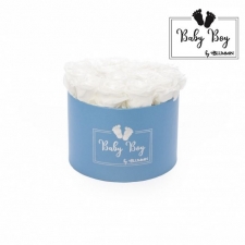 BABY BOY - sinine karp WHITE roosidega (17 roosiga)