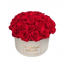  BOUQUET WITH 25 ROSES - LARGE CREAMY BOX WITH VIBTANT RED ROSES