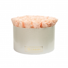 EXTRA LARGE BLUMMiN - valge ussinahkse mustriga karp PEACHY PINK uinuvate roosidega