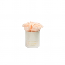 XS BLUMMiN - valge ussinahkse mustriga karp PEACHY PINK roosidega