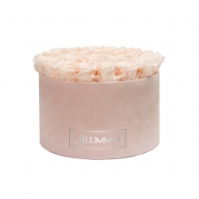 EXTRA LARGE VELVET LIGHT PINK BOX WITH ICE PINK ROSES