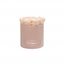 -20% MEDIUM BLUMMiN - HELEROOSA SAMETKARP ICE PINK ROOSIDEGA