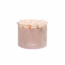 LARGE LIGHT PINK VELVET BOX WITH ICE PINK ROSES