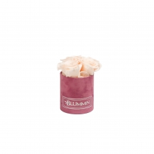 XS BLUMMiN VANALILLA SAMETKARP ICE PINK ROOSIDEGA